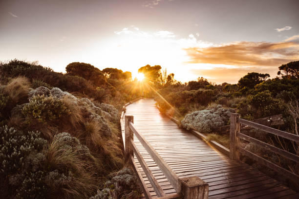sunset in the victoria nature countryside