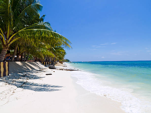 istock Alona Beach on Bohol Island 116054285