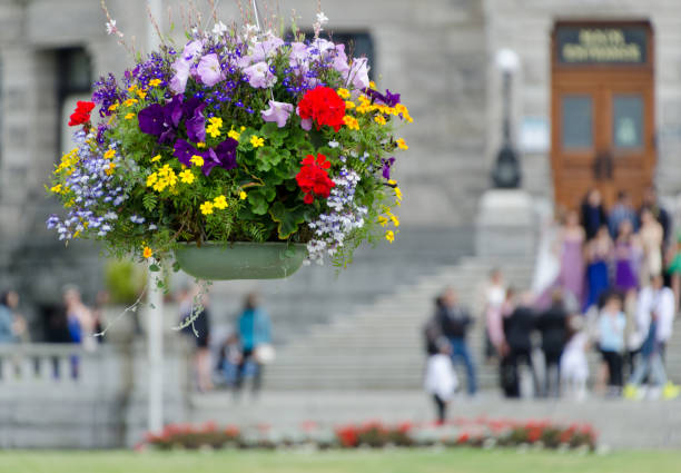 Flowers basket in front of tourists crowd gathered on steps of Parliament building in Victoria, British Columbia stock photo