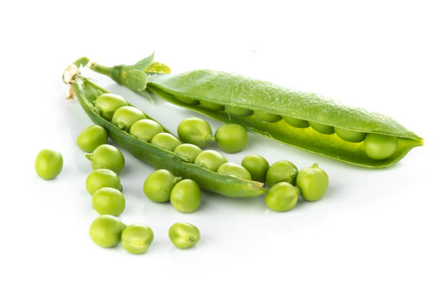 istock stalk of green peas on a white background 1160545028