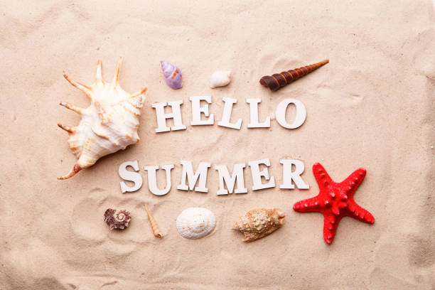 istock Text Hello Summer from white letters and sea shells and starfish on sand 1160545999