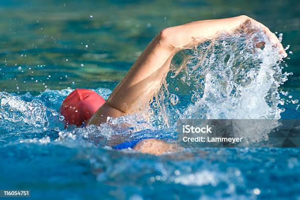 Swimmer 경쟁에 대한 스톡 사진 및 기타 이미지 - 경쟁, 수영-동작 활동, 수영장-스포츠 경기장