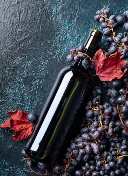 istock Bottle of red wine and grapes. 1160547977