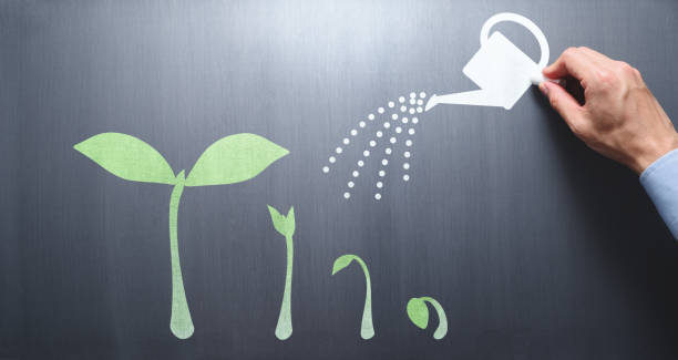 istock Businessman drawing small plant on chalkboard. 1160549092