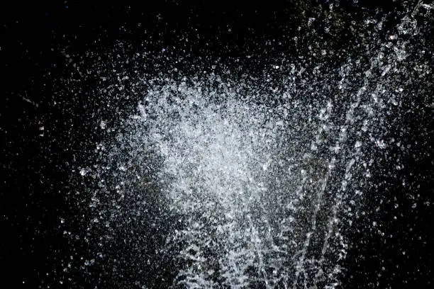 Photo of Water sprays and splashes on black background. Jets and drops of fountain isolated image