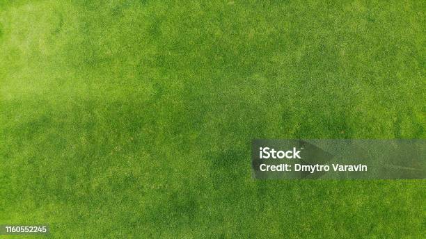 Aerial Green Grass Texture Background Top View From Drone Stock Photo - Download Image Now