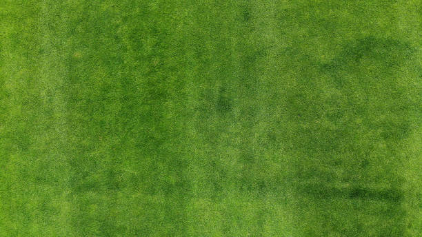 istock Aerial. Green grass texture background. Top view from drone. 1160552782