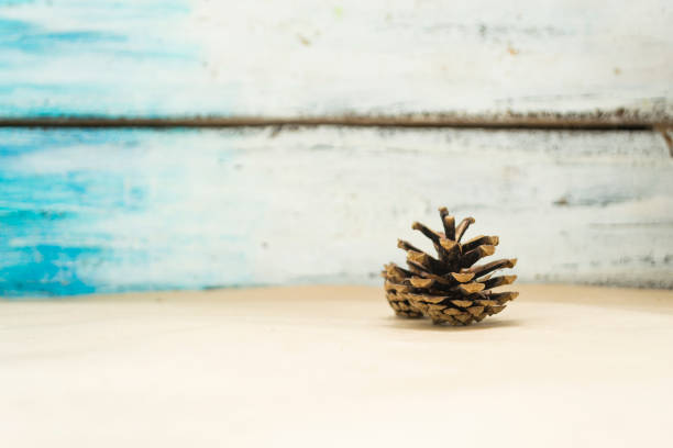 istock One Fir cone lies on the Crafting background. 1160553193
