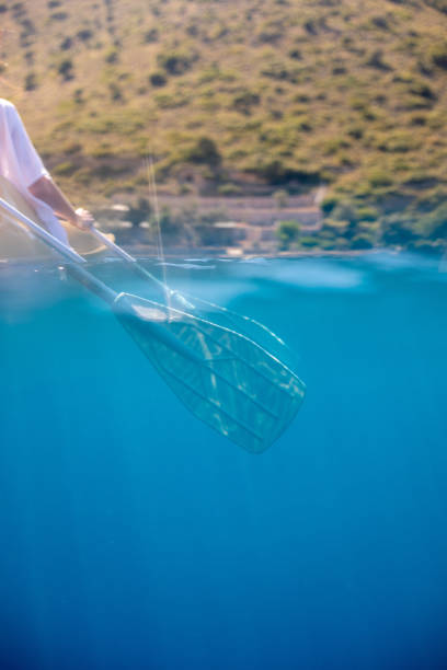istock Woman kayaking on sea 1160558299