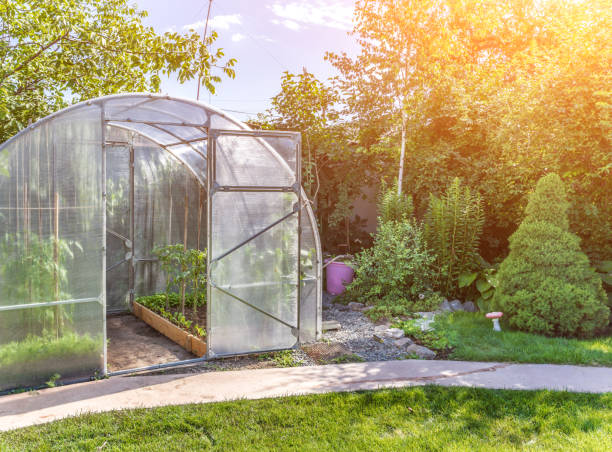 istock arched small greenhouse on private backyard with sun flare 1160561590