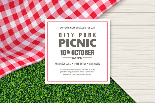 Picnic poster or banner design template. Vector background with realistic red gingham tablecloth, wooden table and grass Picnic poster or banner design template. Vector background with realistic red gingham plaid or tablecloth, white wooden table and green grass lawn. Restaurant, cafe menu design elements. picnic stock illustrations