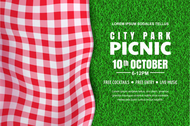 Picnic horizontal background. Vector poster or banner template with realistic red gingham plaid on green grass lawn Picnic horizontal background. Vector poster or banner design template with realistic red gingham plaid on green grass lawn. Outdoors summer weekend in city park. picnic blanket stock illustrations