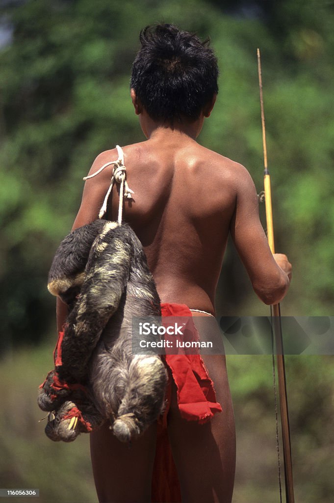 Local de devolução de uma caça na Amazônia - Foto de stock de Floresta amazônica royalty-free