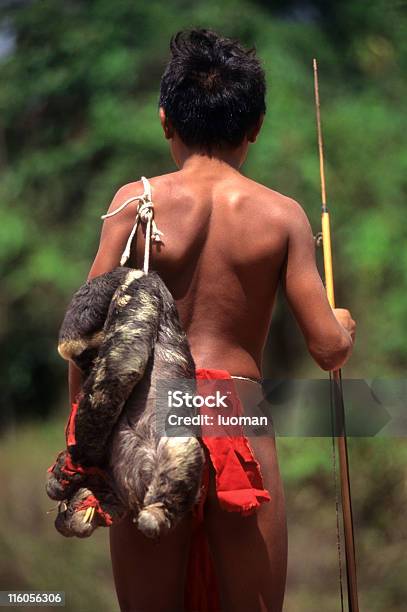 Коренные По Возвращении Hunt In The Amazon — стоковые фотографии и другие картинки Амазония - Амазония, Дождевой лес Амазонии, Охотник
