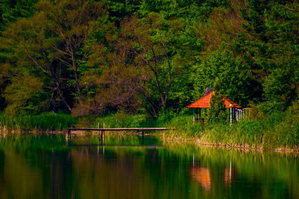 понтон на озере в карас северин, румыния - boardwalk pontoon bridge landscape sky стоковые фото и изображения