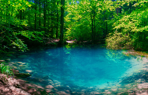 Ochiul Beiului, a small emerald lake on the Nera gorge in Beusnita National Park in Romania