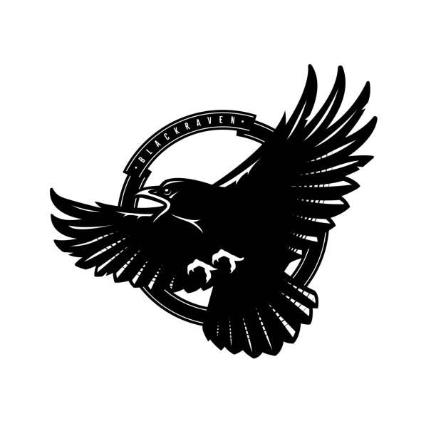 Black raven in flight, logo, emblem. Vector illustration. Black raven in flight, logo emblem raven bird stock illustrations