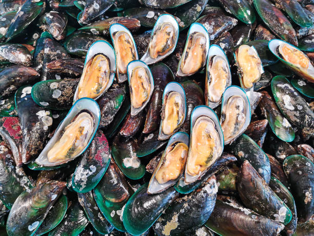 istock Raw Mussel shell in market 1160574894