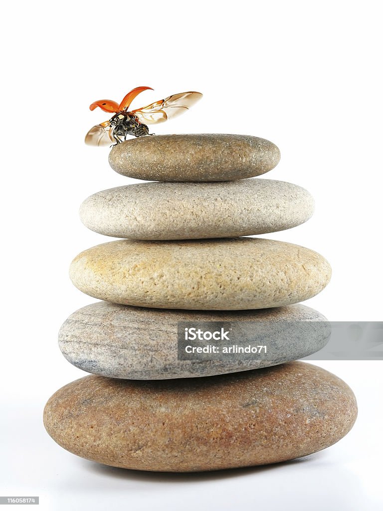Biddybug Stack Ladybug And Pebbles Stack Stock Photo - Download Image Now - Animal ...