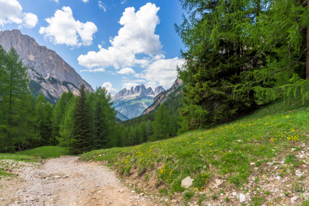 istock Mountain trail in Val Contrin. Dolomites. Italy. 1160592833