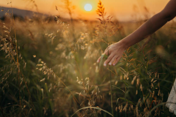 istock Woman in the field 1160594176