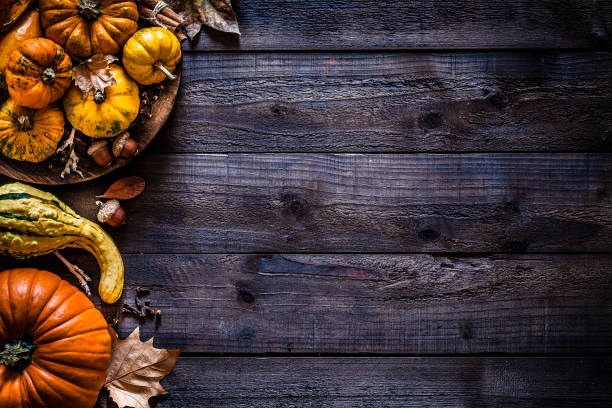 dia da acção de graças ou fundo do feriado da abóbora do outono - pumpkin autumn october squash - fotografias e filmes do acervo