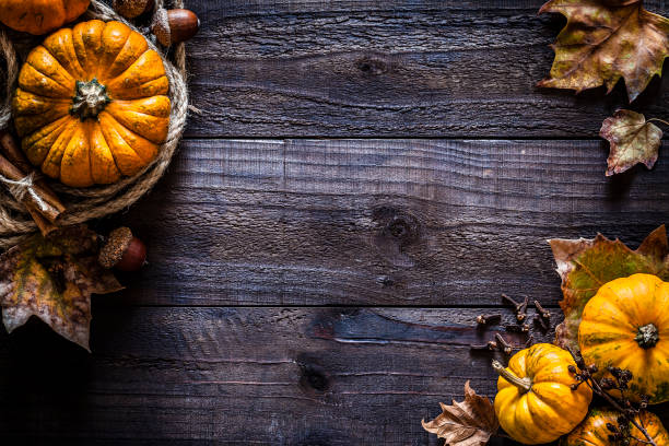 istock Thanksgiving day or autumn pumpkin holiday background 1160594490