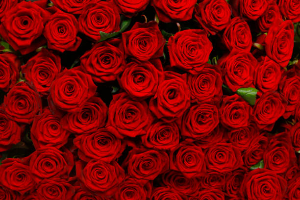 istock bouquet roses on wooden background 1160594752