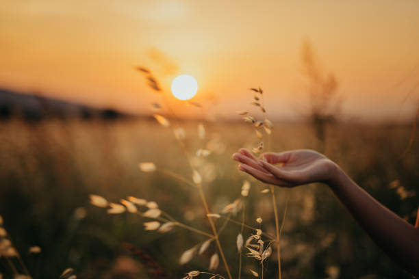 istock Woman in the field 1160594821