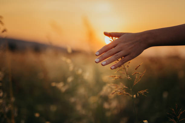 istock Woman in the field 1160595406