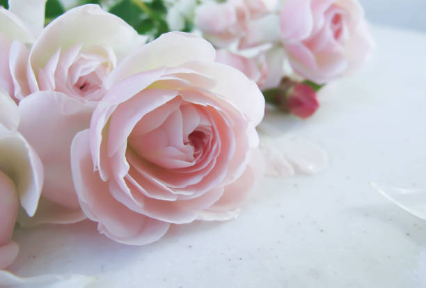 istock Bouquet of beautiful pink roses 1160597018