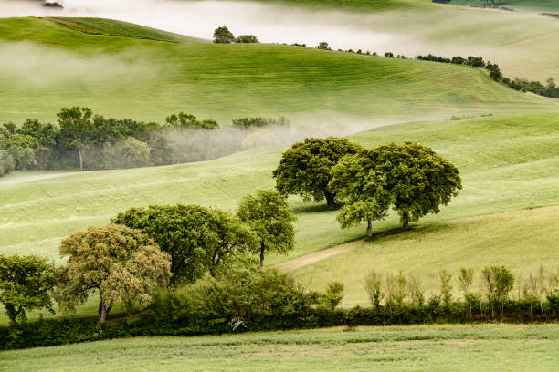 Foggy morning between the hills of Tuscany, Siena Province, Italy