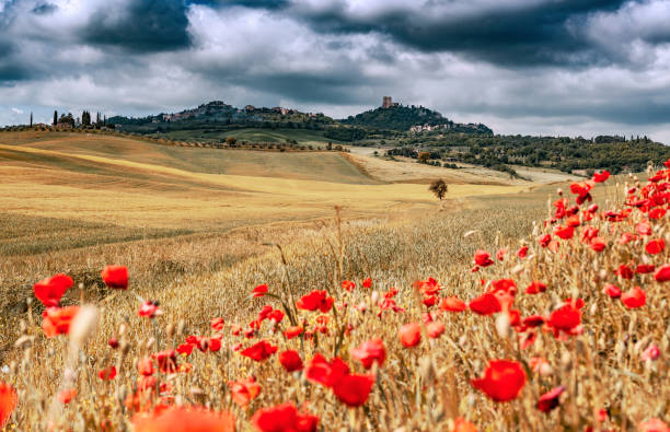 Sunny landscape from Val d'Orcia