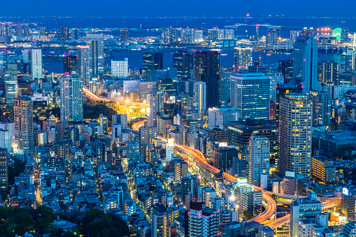 View of modern Tokyo city at night Japan
