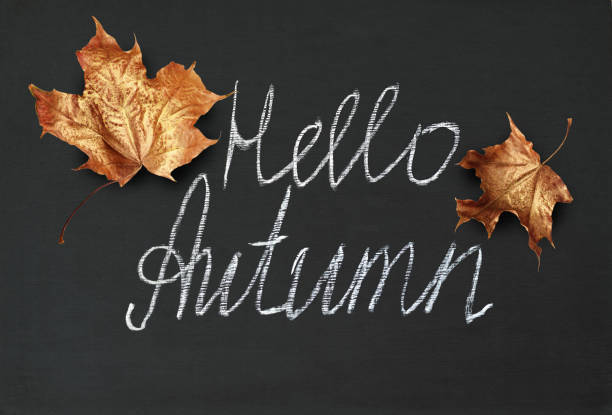 istock Black chalkboard with golden maple leaves and lettering Hello Autumn 1160601135