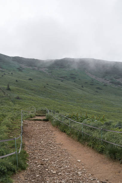 istock Trail on a mountain range towards Tarnica. 1160601356