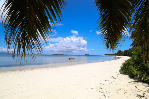 istock Praslin beach island view Seychelles 1160604083