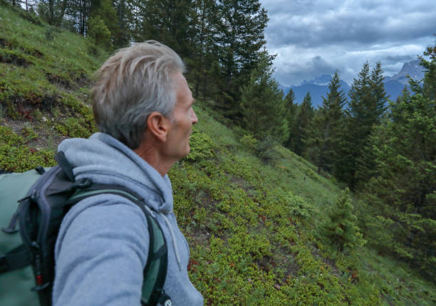 istock mature man hiker meadow forest mountains 1160605225