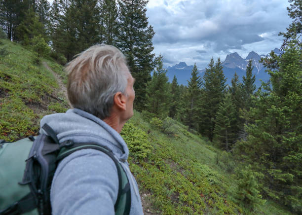 istock mature man hiker meadow forest mountains 1160605272