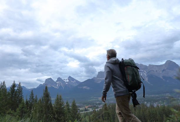 istock mature man hiker meadow forest mountains 1160605275