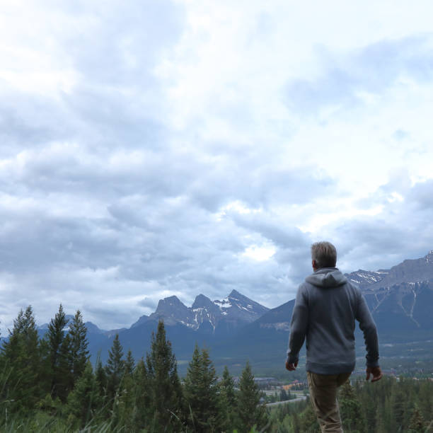 istock mature man hiker meadow forest mountains 1160605278