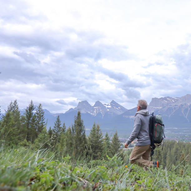 istock mature man hiker meadow forest mountains 1160605279