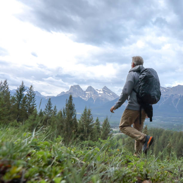 istock mature man hiker meadow forest mountains 1160605305