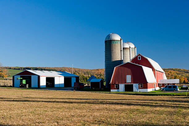 istock Dairy Farm with Red Barn in Autumn 116060548