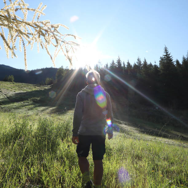 istock Mature man walks up meadow in springtime 1160605625