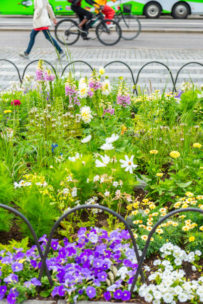 istock Gothenburg city flowerbed 1160608565