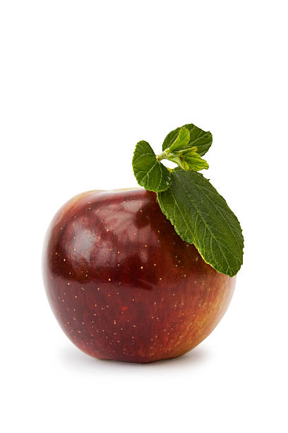 la grande mela - spartan apple foto e immagini stock