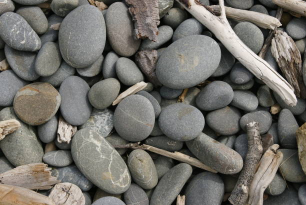 istock Beach Stones with Driftwood Twigs 1160613293