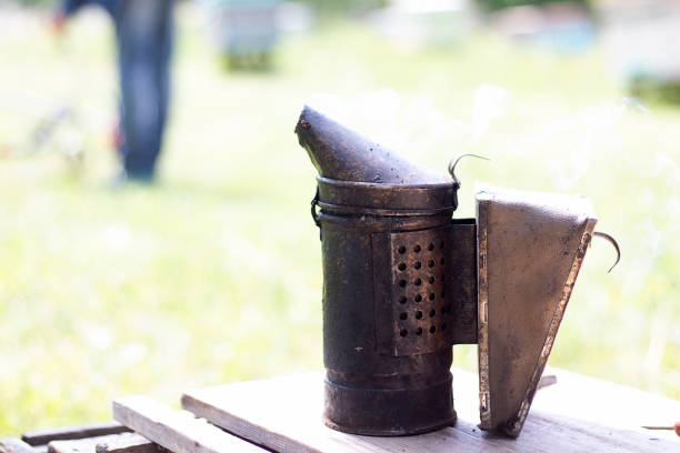 istock Tool for smoking bees from the hive. Smoke for bees, work on the apiary. Beekeeping natural honey. 1160613401