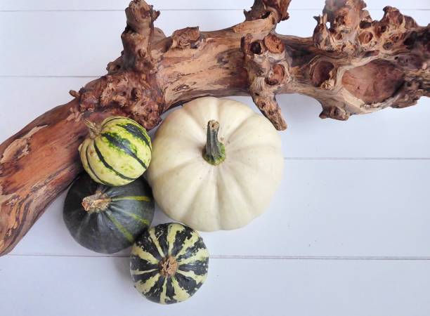 istock autumn arrangement with pumpkins 1160615636